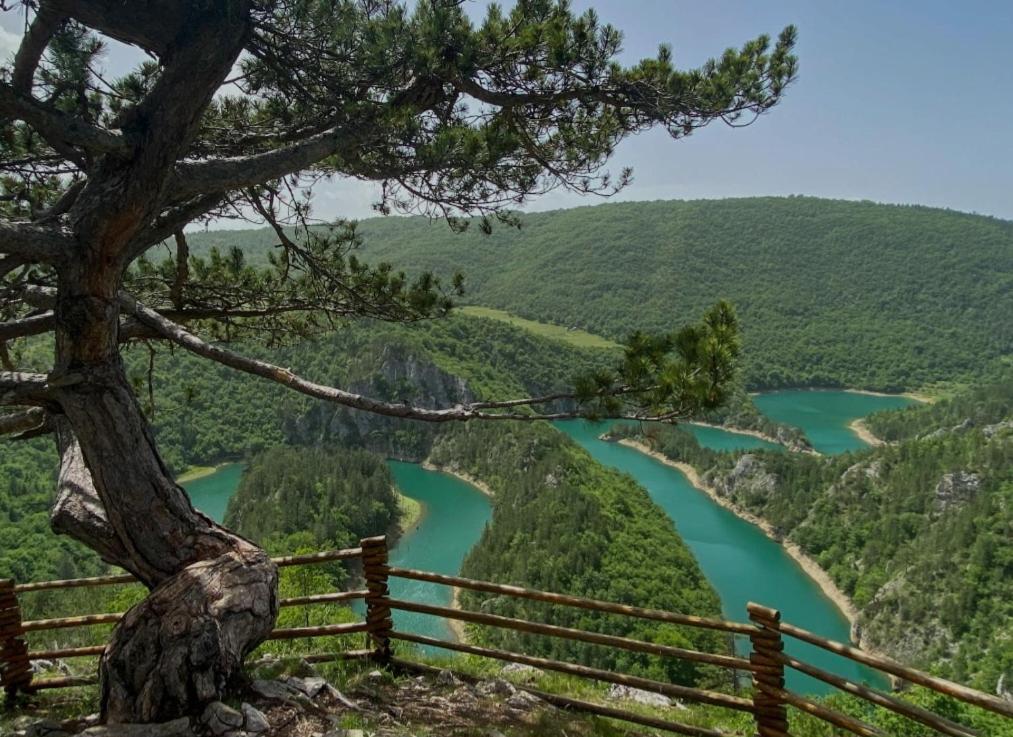 ŽabljakMountain Soul Rest别墅 外观 照片